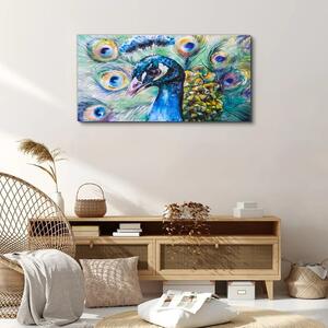 Obraz na plátně Obraz na plátně Malování zvířecí pták páv