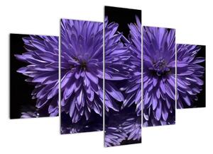 Obraz fialových květů (150x105cm)
