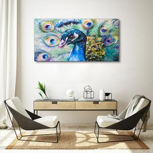 Obraz na plátně Obraz na plátně Malování zvířecí pták páv