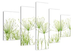 Obraz rostlin na bílém pozadí (150x105cm)