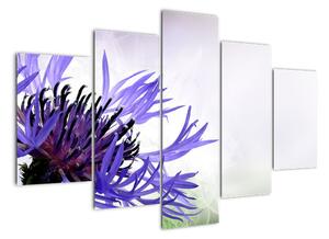 Obraz fialového květu (150x105cm)