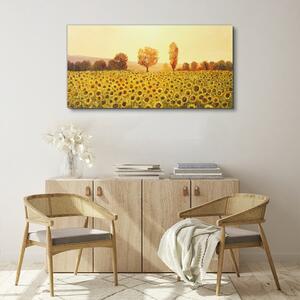 Obraz na plátně Obraz na plátně Květiny slunečnic stromů