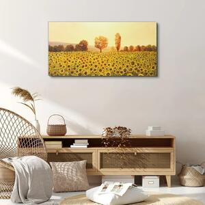 Obraz na plátně Obraz na plátně Květiny slunečnic stromů