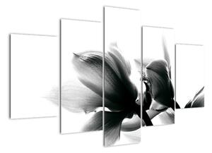 Obraz černobílých květů (150x105cm)