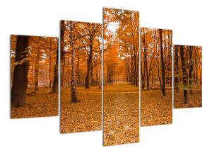 Obraz lesní cesty (150x105cm)