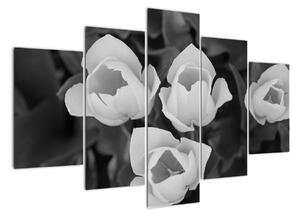 Černobílé květy (150x105cm)