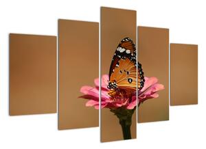 Obraz motýla (150x105cm)