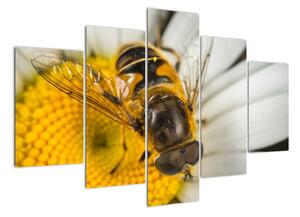 Obraz - detail včely (150x105cm)