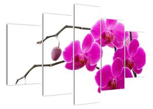 Obraz orchidejí na zeď (150x105cm)