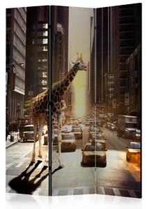 Paraván žirafa v New Yorku Velikost (šířka x výška): 225x172 cm