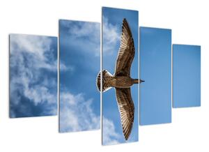 Obraz letícího ptáka (150x105cm)