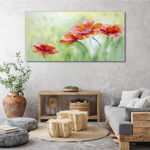 Obraz na plátně Obraz na plátně Květiny máků