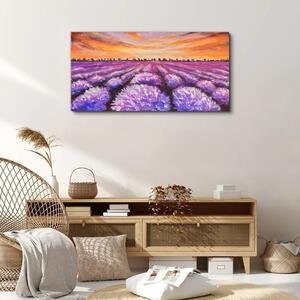 Obraz na plátně Obraz na plátně Levandulové pole Sunset