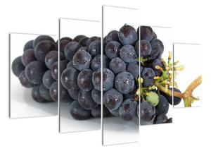 Obraz s hroznovým vínem (150x105cm)