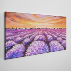 Obraz na plátně Obraz na plátně Levandulové pole Sunset