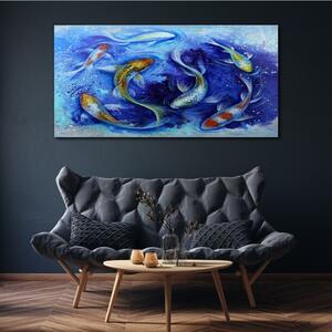 Obraz na plátně Obraz na plátně Zvířecí ryby Koi voda