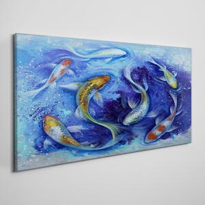 Obraz na plátně Obraz na plátně Zvířecí ryby Koi voda