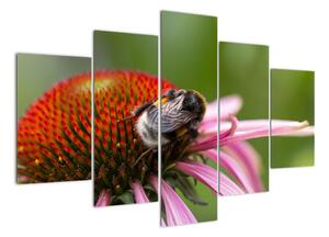 Obraz včely na květu (150x105cm)
