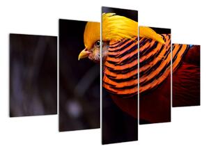 Obraz ptáka (150x105cm)
