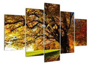 Obraz podzimní krajiny (150x105cm)
