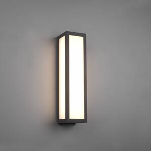 Trio Lighting Venkovní nástěnné svítidlo LED Fuerte, antracit, hliník, IP54, Černá, Hliník, Moderní