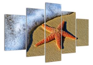Obraz s mořskou hvězdou (150x105cm)
