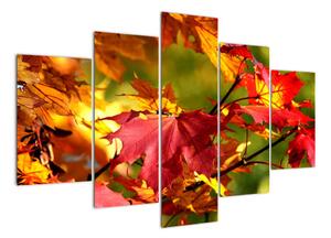 Podzimní listí, obraz (150x105cm)