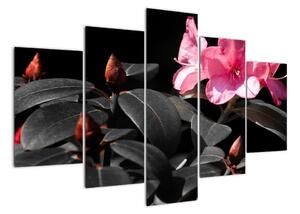 Obraz květiny (150x105cm)