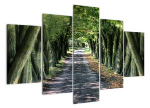 Údolí stromů, obrazy (150x105cm)