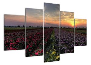 Lány květin, obrazy (150x105cm)