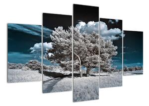 Strom v zimě, obraz na zeď (150x105cm)