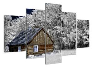 Chaloupka v zimě, obrazy (150x105cm)