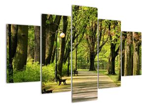 Cesta v parku - obraz (150x105cm)