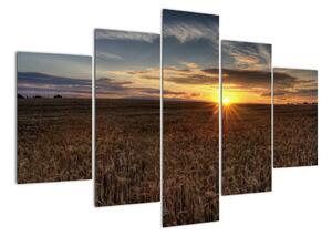 Západ slunce na poli - obraz na stěnu (150x105cm)
