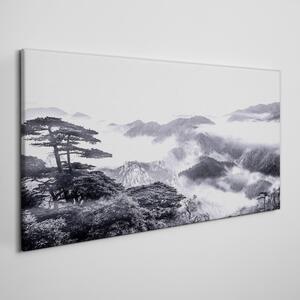 Obraz na plátně Obraz na plátně Mountain Forest Fog