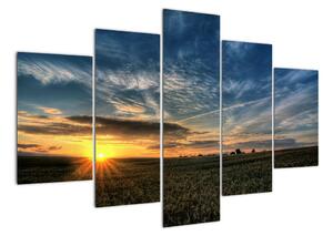 Západ slunce na poli - moderní obraz (150x105cm)