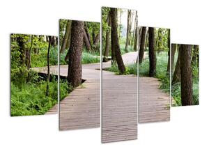 Cesta v lese - obraz (150x105cm)