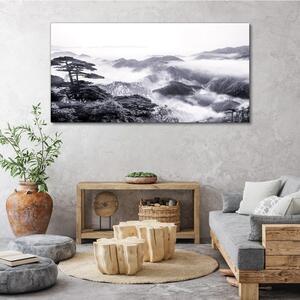 Obraz na plátně Obraz na plátně Mountain Forest Fog