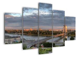 Pohled na město - obraz (150x105cm)