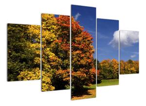 Podzimní stromy - obraz do bytu (150x105cm)