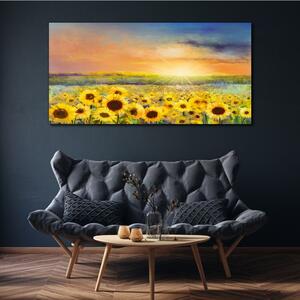 Obraz na plátně Obraz na plátně Květiny pole slunečnic