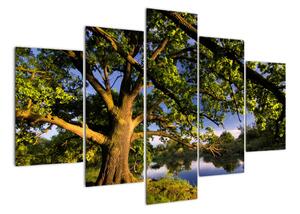 Obraz stromu (150x105cm)