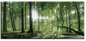 Obraz lesní úsvit III Velikost (šířka x výška): 55x25 cm