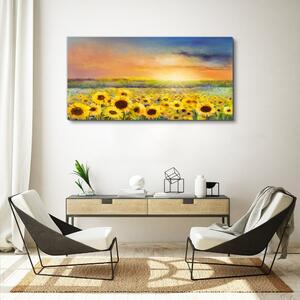 Obraz na plátně Obraz na plátně Květiny pole slunečnic