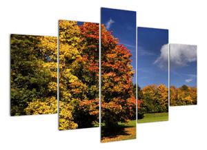 Podzimní stromy - moderní obraz (150x105cm)