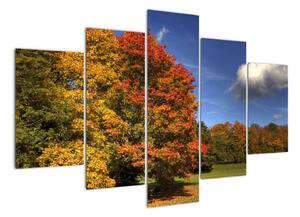 Podzimní stromy - obraz (150x105cm)