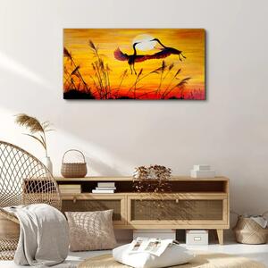 Obraz na plátně Obraz na plátně Zvířata Birds Sunset