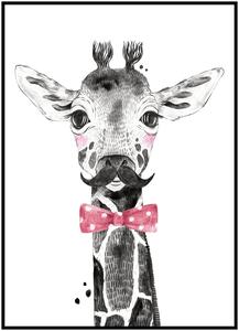 Plakát Žirafka Rozměr plakátu: 30 x 40 cm, Varianta žirafky: Žirafka s knírem