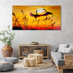 Obraz na plátně Obraz na plátně Zvířata Birds Sunset