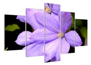 Obraz květu (150x105cm)